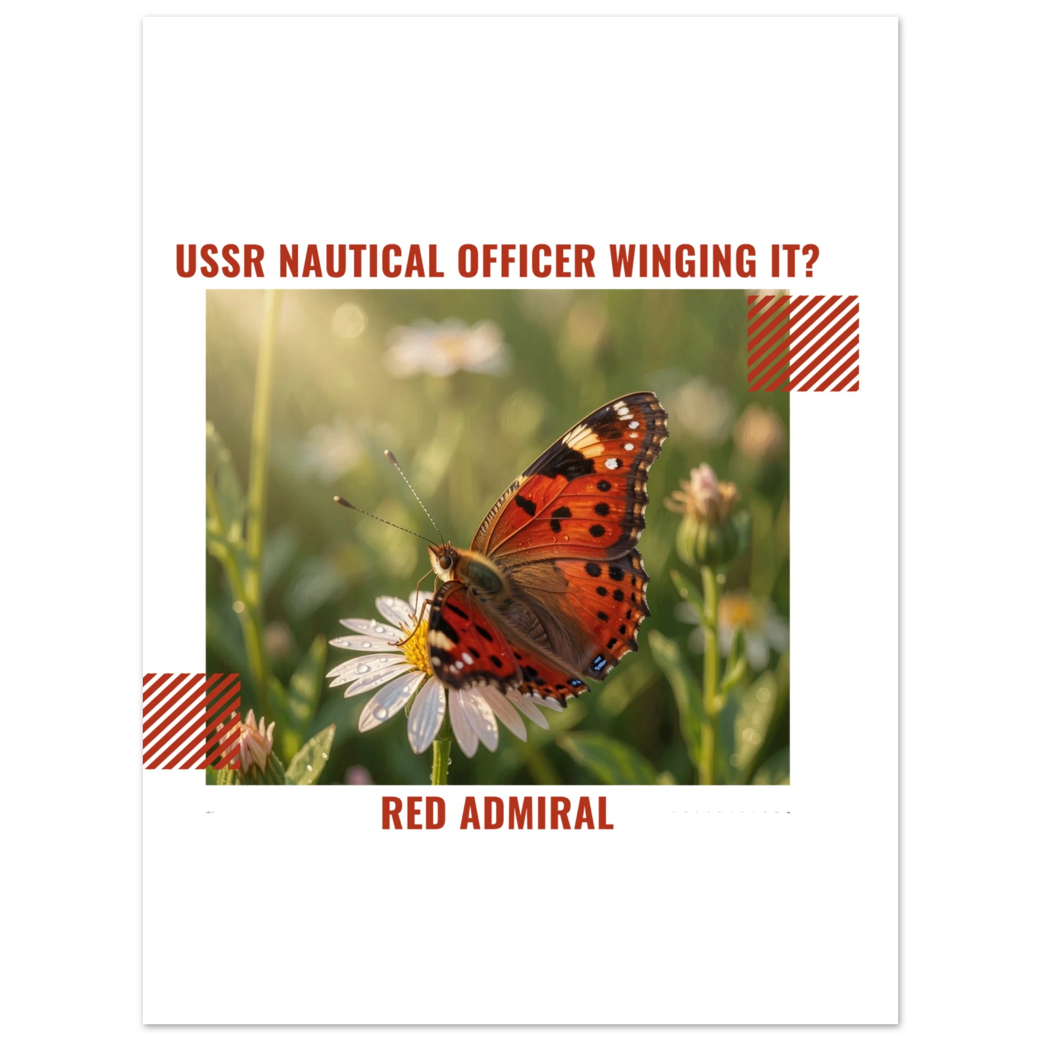 fd5aa253-f49d-4059-aa93-4c7f9707bad9